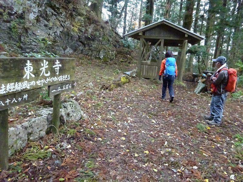 山犬嶽（やまいぬだけ）徳島県　苔の名所_b0124306_20291214.jpg