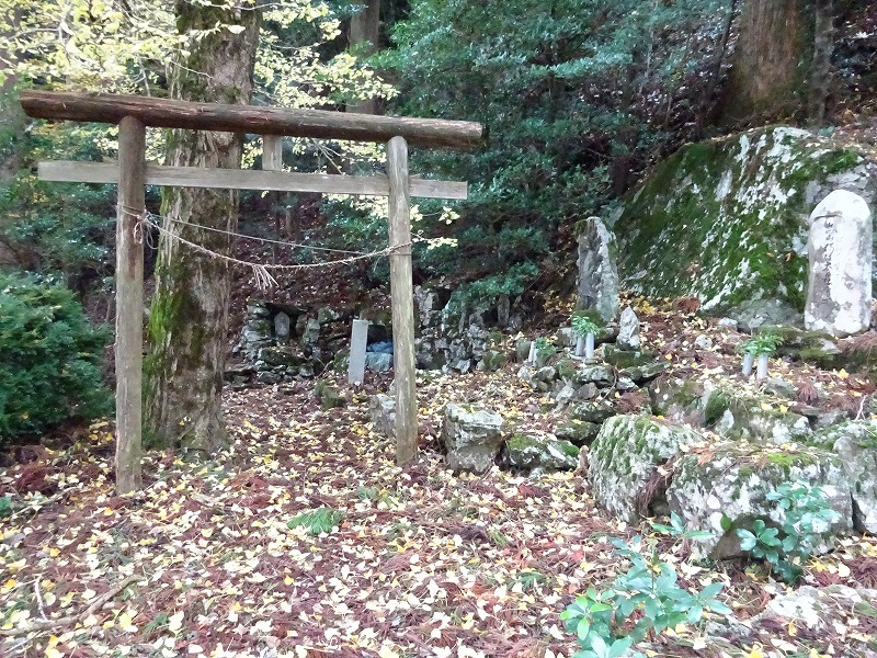 山犬嶽（やまいぬだけ）徳島県　苔の名所_b0124306_20304469.jpg