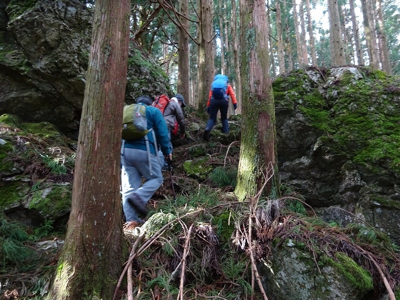 山犬嶽（やまいぬだけ）徳島県　苔の名所_b0124306_20315936.jpg
