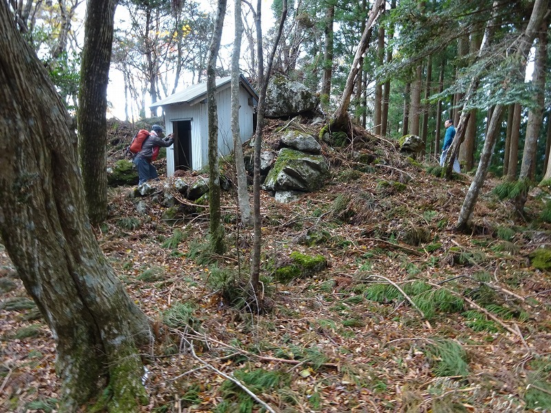 山犬嶽（やまいぬだけ）徳島県　苔の名所_b0124306_20344890.jpg