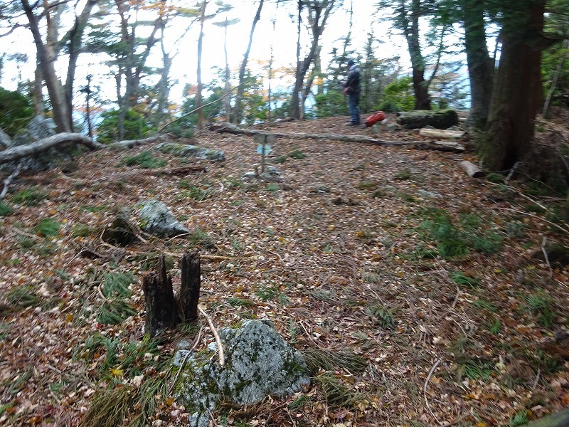 山犬嶽（やまいぬだけ）徳島県　苔の名所_b0124306_20354873.jpg
