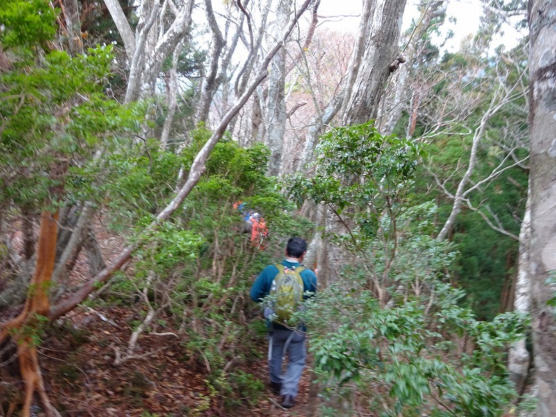 山犬嶽（やまいぬだけ）徳島県　苔の名所_b0124306_20454286.jpg