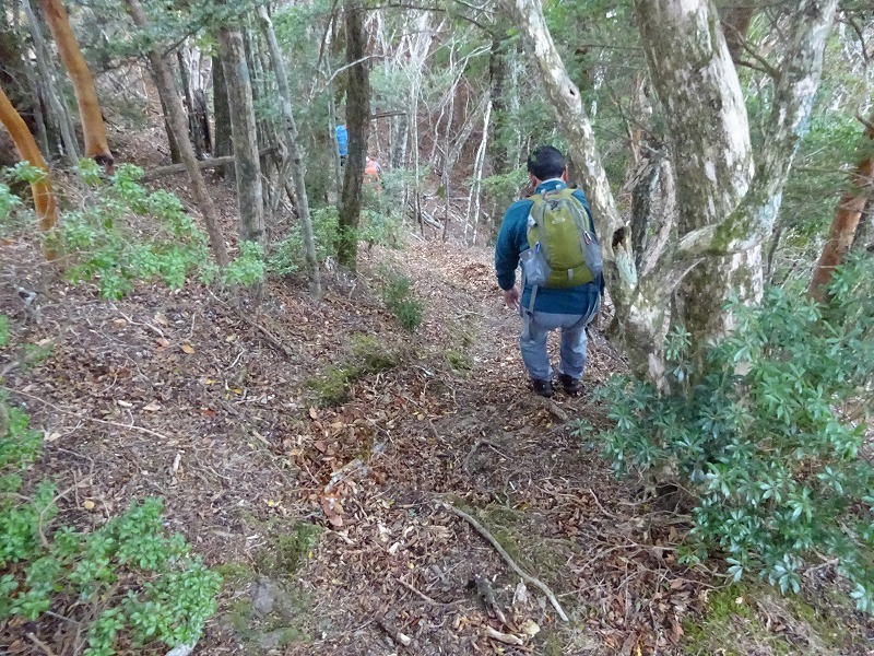 山犬嶽（やまいぬだけ）徳島県　苔の名所_b0124306_20464108.jpg