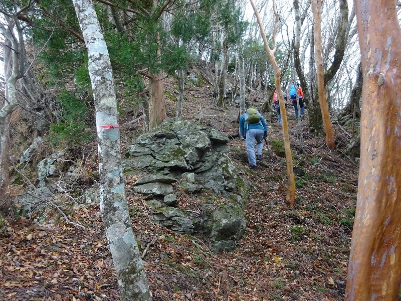 山犬嶽（やまいぬだけ）徳島県　苔の名所_b0124306_20471655.jpg