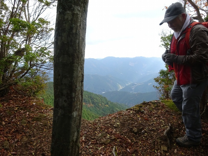 山犬嶽（やまいぬだけ）徳島県　苔の名所_b0124306_20475026.jpg
