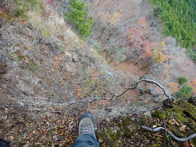 山犬嶽（やまいぬだけ）徳島県　苔の名所_b0124306_20484966.jpg
