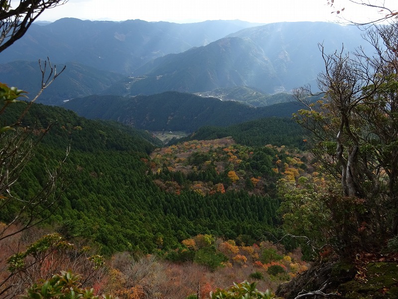 山犬嶽（やまいぬだけ）徳島県　苔の名所_b0124306_20504395.jpg