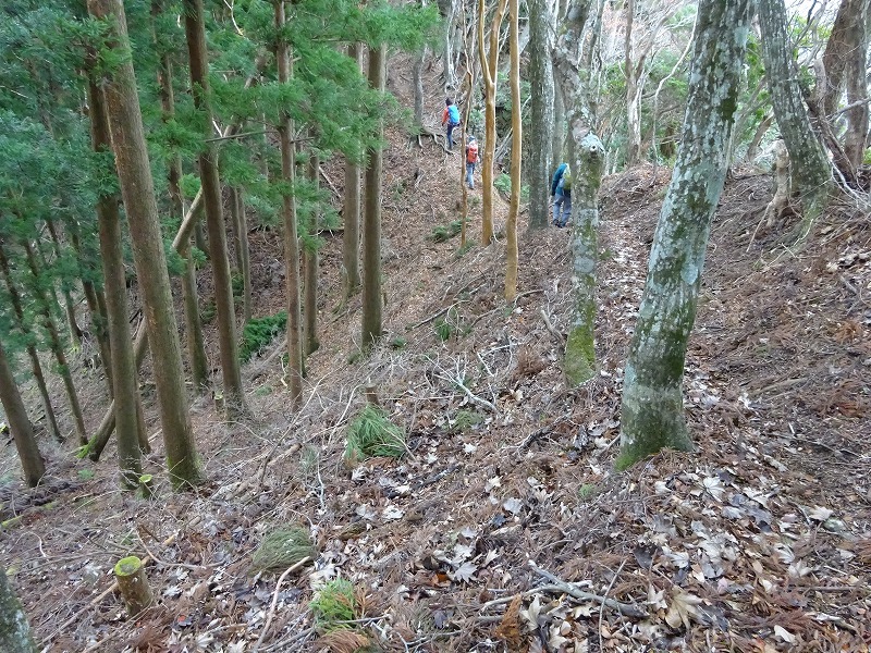 山犬嶽（やまいぬだけ）徳島県　苔の名所_b0124306_20554595.jpg
