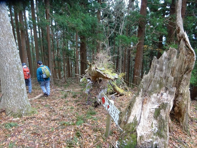 山犬嶽（やまいぬだけ）徳島県　苔の名所_b0124306_20565470.jpg