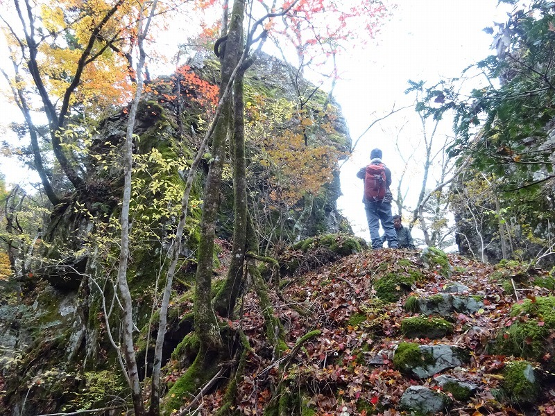 山犬嶽（やまいぬだけ）徳島県　苔の名所_b0124306_20591491.jpg