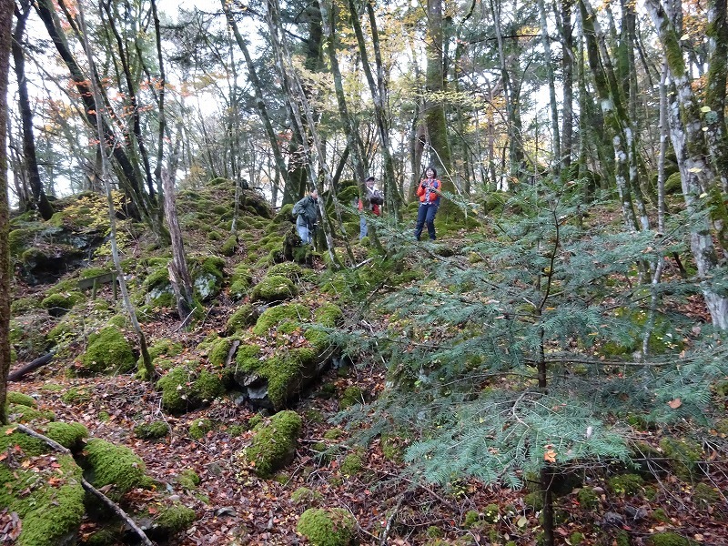 山犬嶽（やまいぬだけ）徳島県　苔の名所_b0124306_21065915.jpg