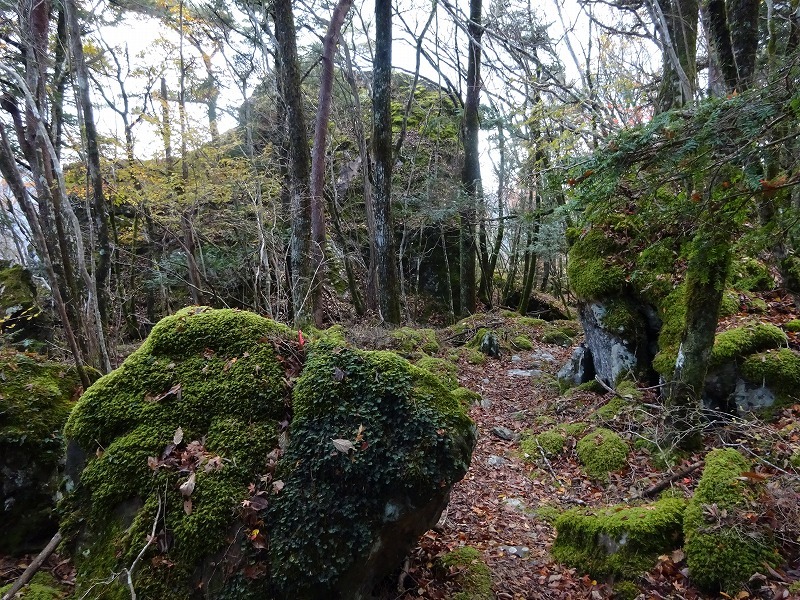 山犬嶽（やまいぬだけ）徳島県　苔の名所_b0124306_21074807.jpg