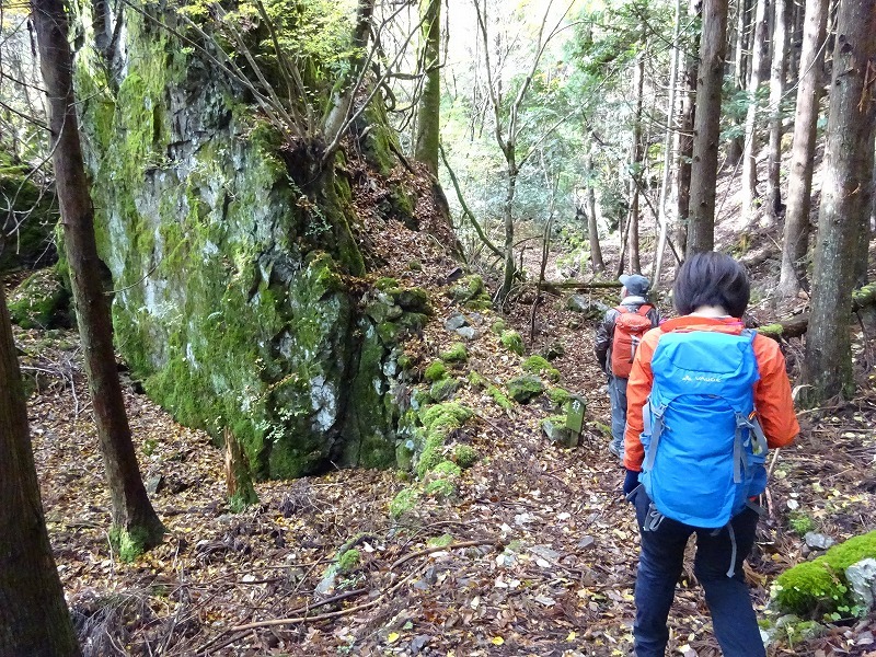 山犬嶽（やまいぬだけ）徳島県　苔の名所_b0124306_21091068.jpg