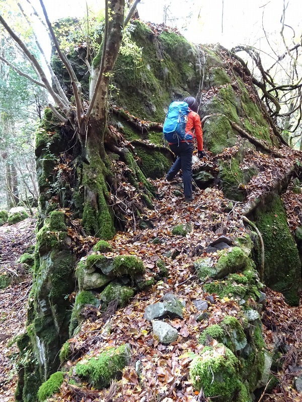 山犬嶽（やまいぬだけ）徳島県　苔の名所_b0124306_21130289.jpg