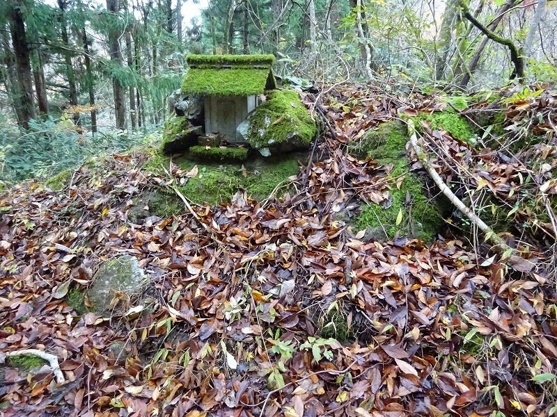 山犬嶽（やまいぬだけ）徳島県　苔の名所_b0124306_21154502.jpg