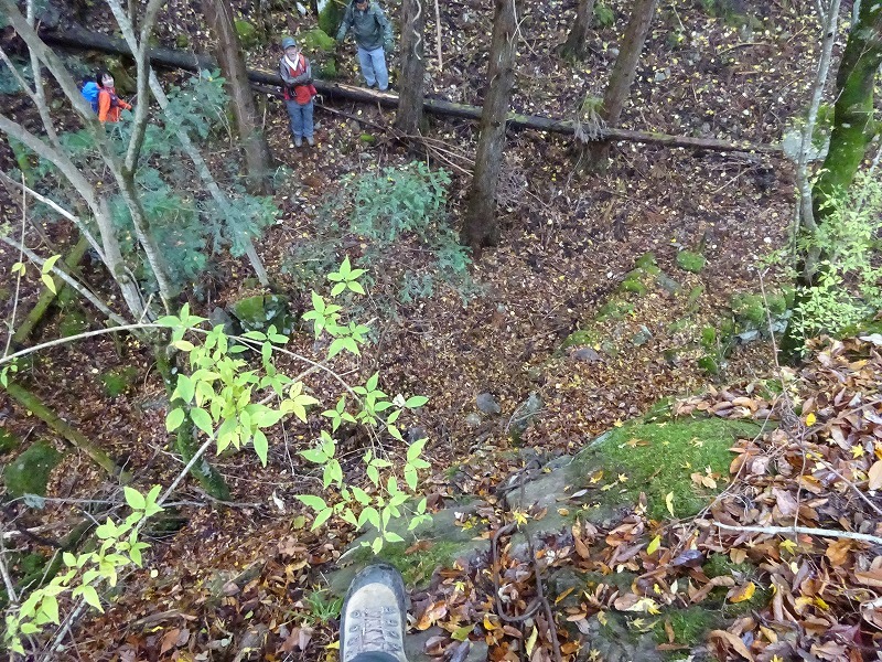山犬嶽（やまいぬだけ）徳島県　苔の名所_b0124306_21161790.jpg