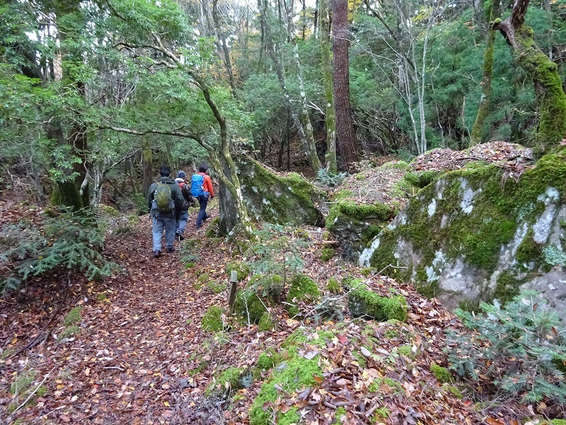 山犬嶽（やまいぬだけ）徳島県　苔の名所_b0124306_21192331.jpg