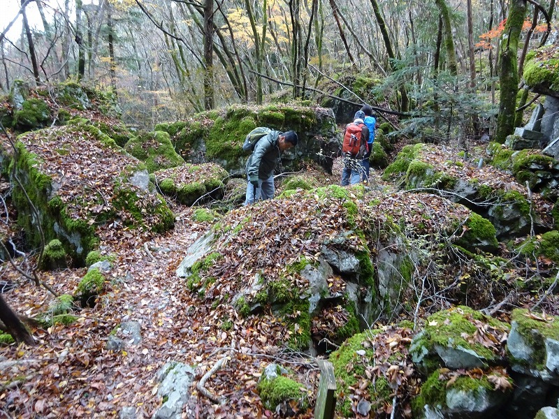 山犬嶽（やまいぬだけ）徳島県　苔の名所_b0124306_21212145.jpg