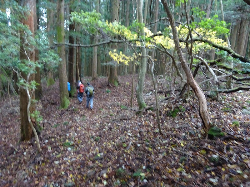 山犬嶽（やまいぬだけ）徳島県　苔の名所_b0124306_21214601.jpg