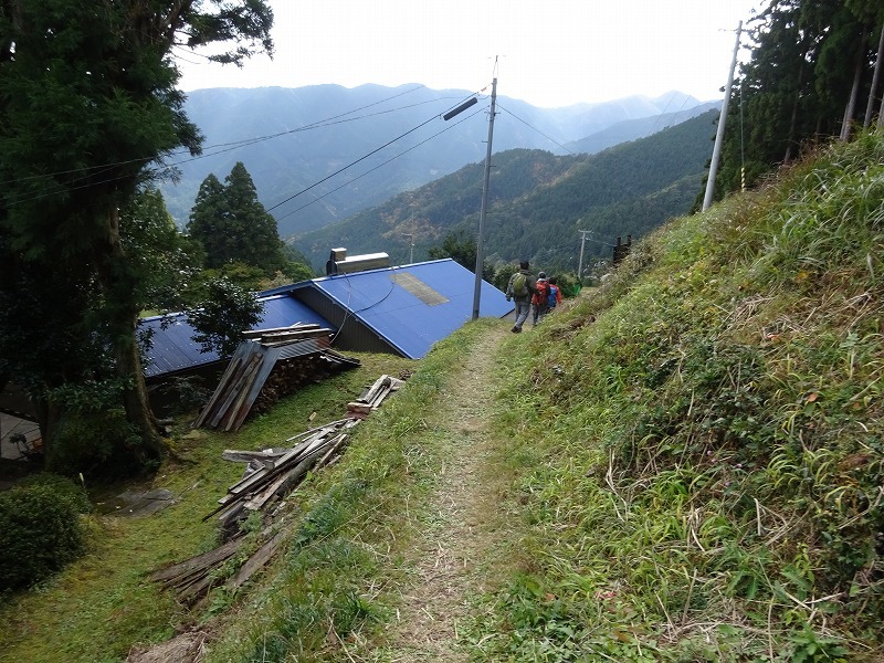 山犬嶽（やまいぬだけ）徳島県　苔の名所_b0124306_21220868.jpg