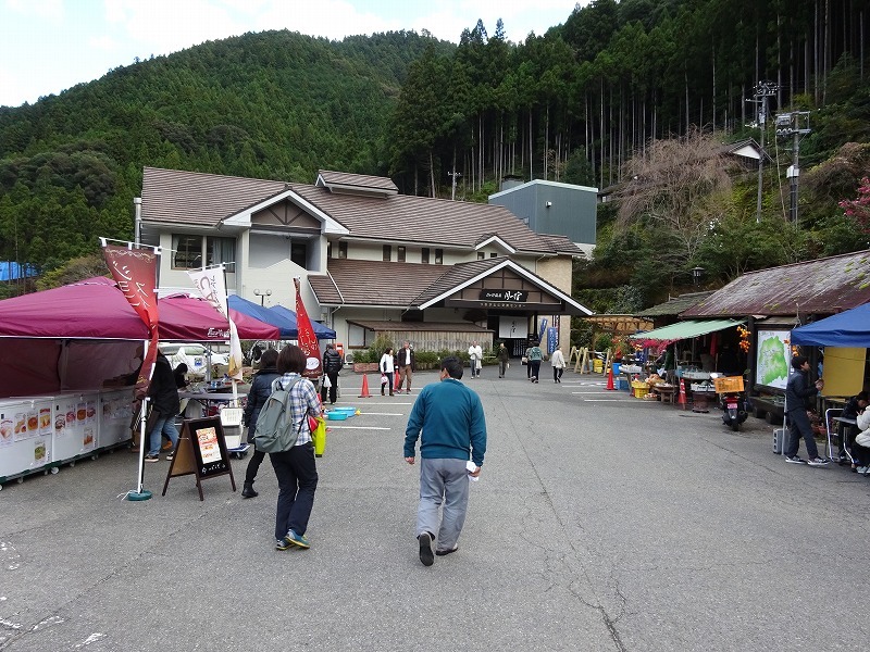 山犬嶽（やまいぬだけ）徳島県　苔の名所_b0124306_21331653.jpg