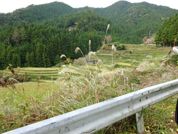 山犬嶽（やまいぬだけ）徳島県　苔の名所_b0124306_21592225.jpg