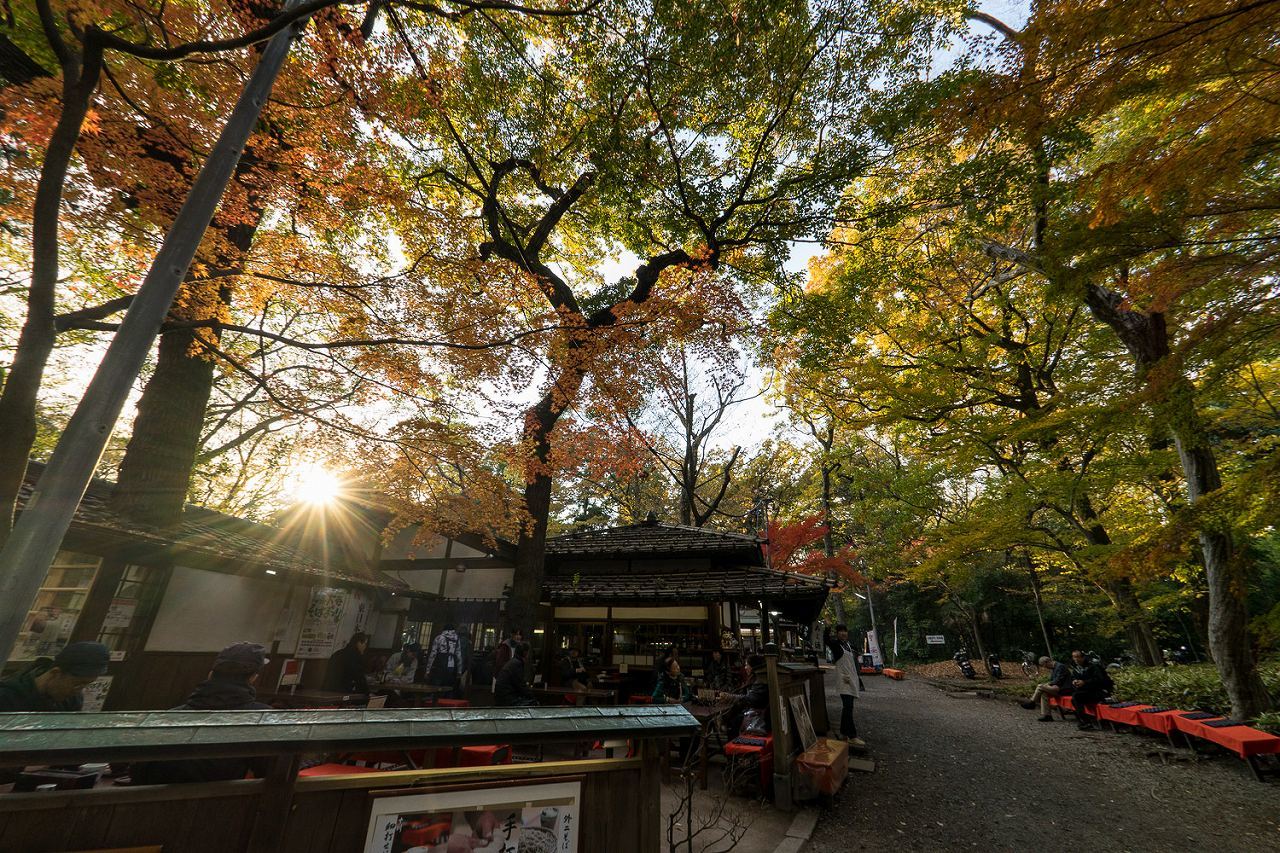 深大寺でも紅葉狩り～後編_b0225108_21561911.jpg