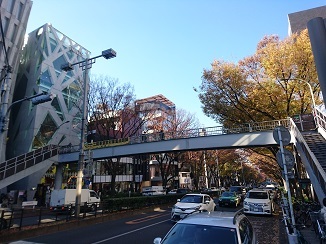表参道~NEWプロジェクトスタート!_d0091909_15251786.jpg