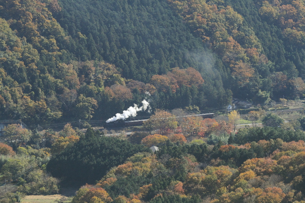 色付く山に白煙が浮かぶ - 秩父・2017年秋 -_b0190710_23451868.jpg