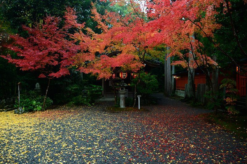 2017京都の紅葉･修学院　赤山禅院_f0032011_19120110.jpg