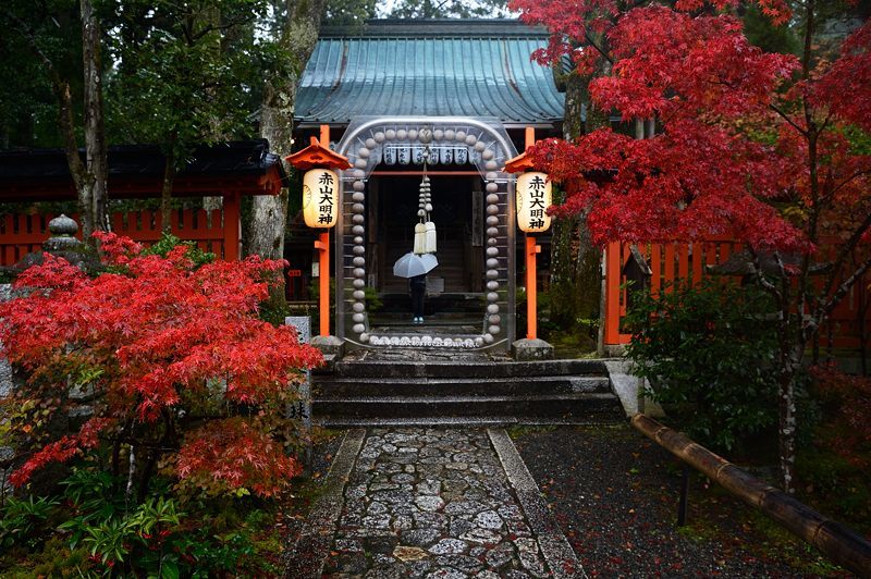 2017京都の紅葉･修学院　赤山禅院_f0032011_19120254.jpg