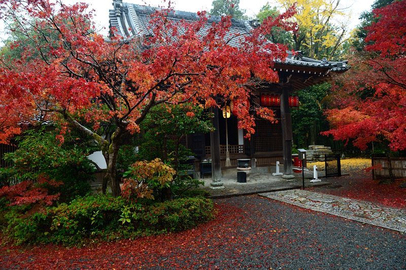 2017京都の紅葉･修学院　赤山禅院_f0032011_19120372.jpg