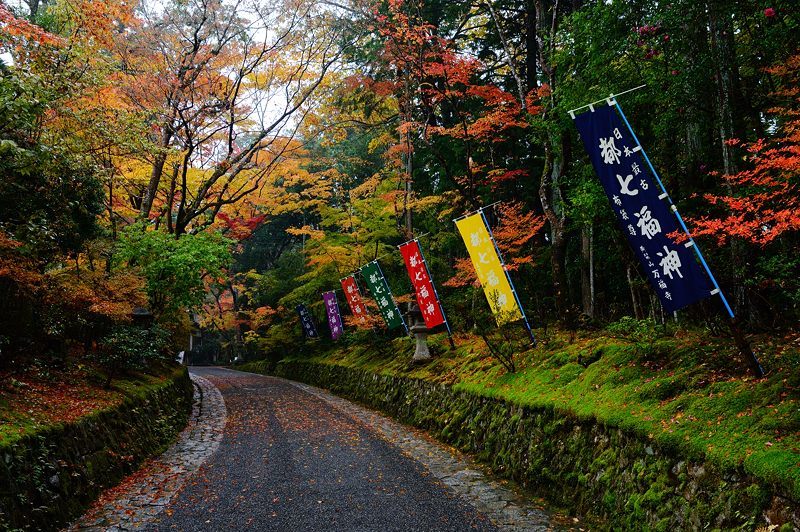 2017京都の紅葉･修学院　赤山禅院_f0032011_19120382.jpg
