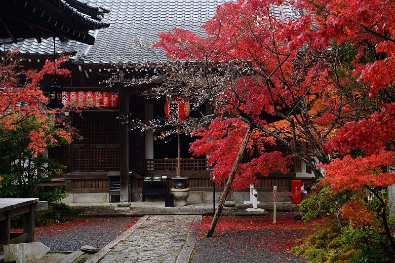 2017京都の紅葉･修学院　赤山禅院_f0032011_19173555.jpg
