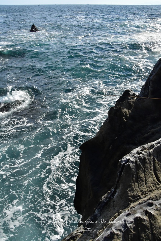fishing from the rocks on the seashore_b0223512_23525342.jpg