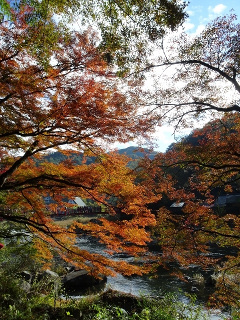 e0033713_20024100.jpg