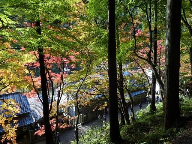 e0033713_20025138.jpg