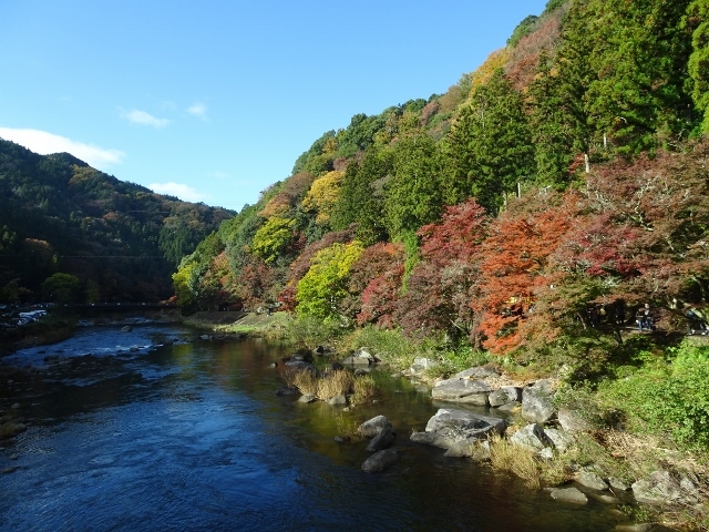 e0033713_20080307.jpg