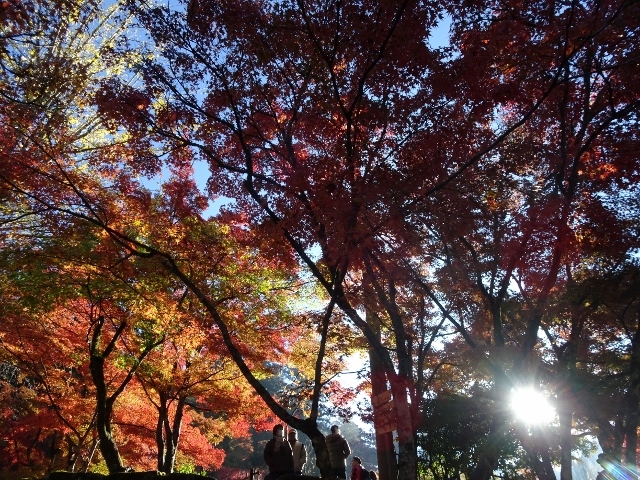 e0033713_20122066.jpg