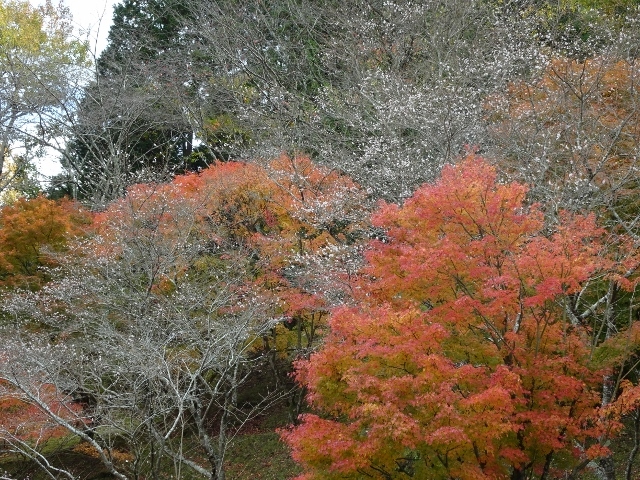 e0033713_20163952.jpg