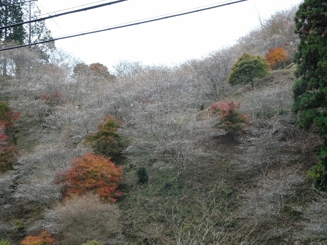 e0033713_20164652.jpg