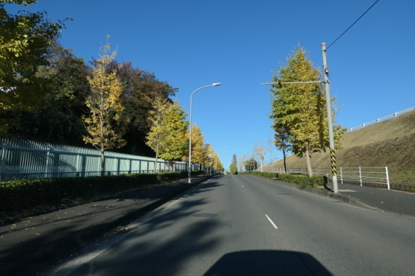 f0369014_10373513.jpg