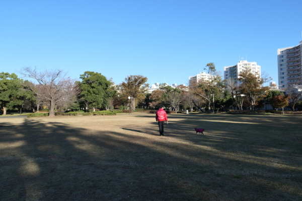 f0369014_10523625.jpg