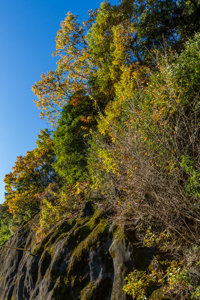 奥多摩の紅葉_b0010915_19265915.jpg