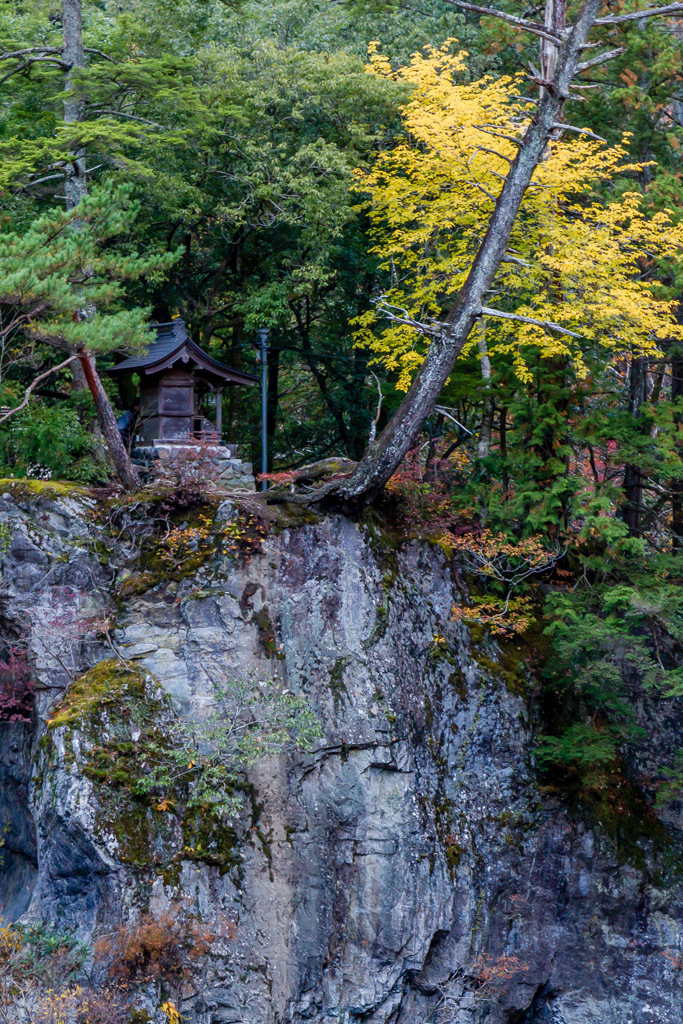 奥多摩の紅葉_b0010915_19272961.jpg