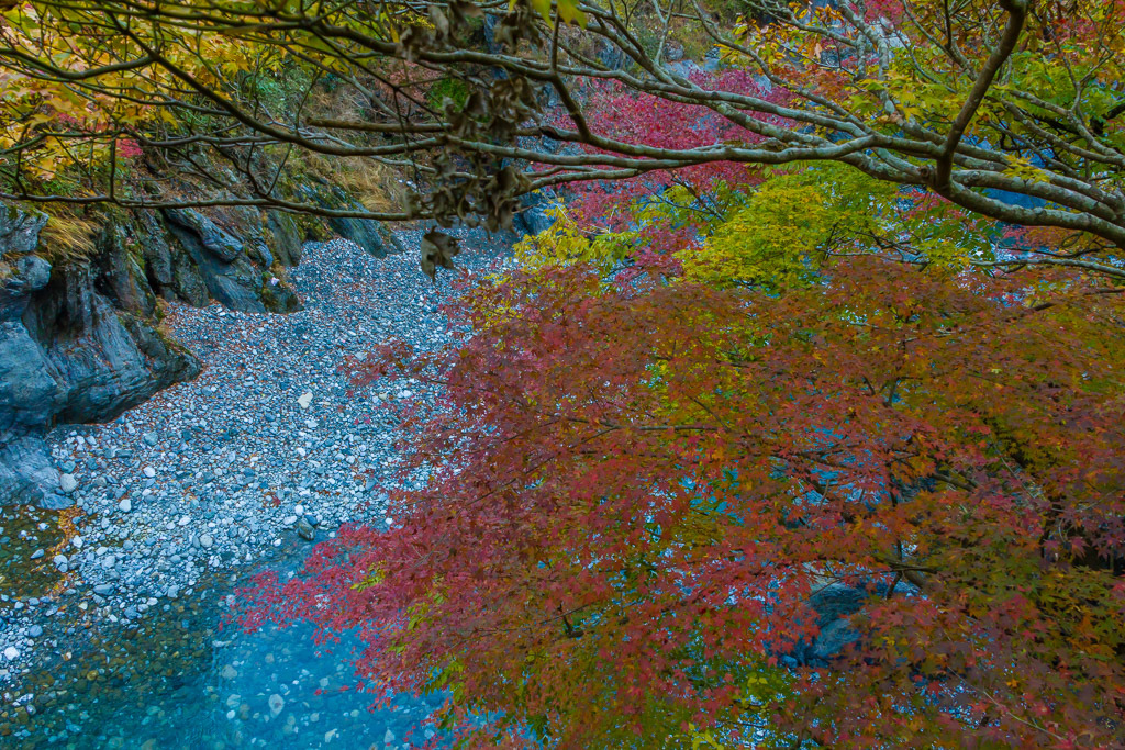 奥多摩の紅葉_b0010915_19275990.jpg