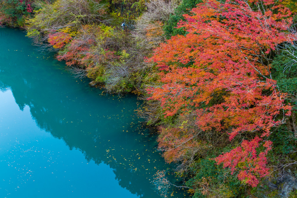 奥多摩の紅葉_b0010915_19282940.jpg