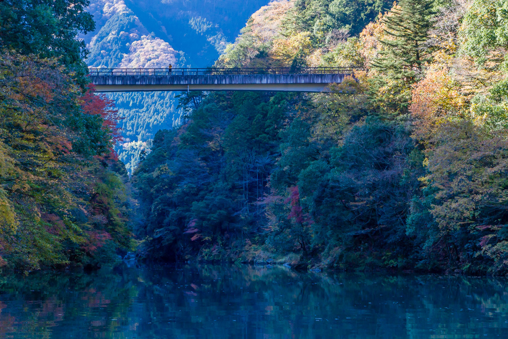 b0010915_19290093.jpg