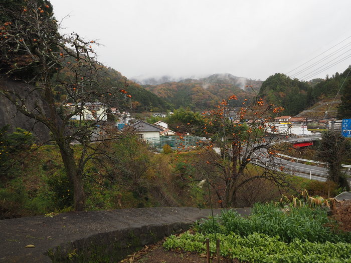 さぶやまに霧_c0116915_00144717.jpg