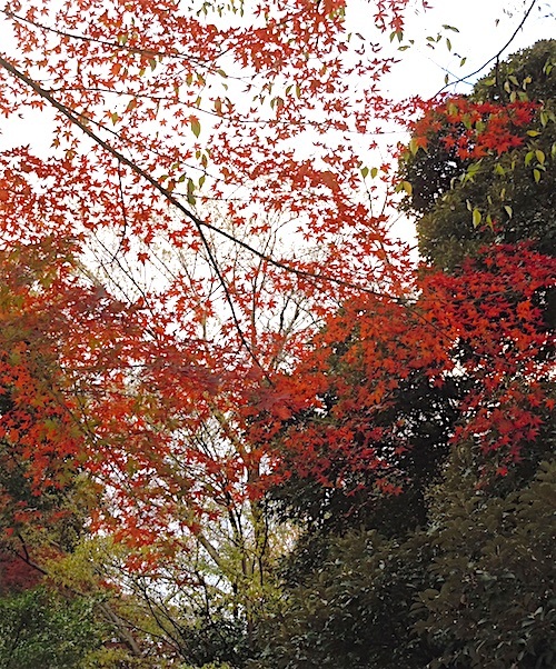 f0036716_13314130.jpg